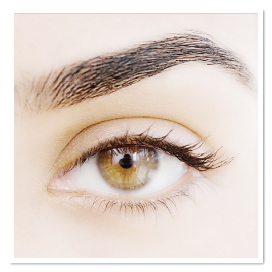 Eyebrow Tint Lash Lift NYC